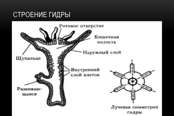 Кракен даркнет скачать