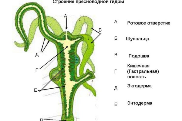 Как найти ссылку на кракен