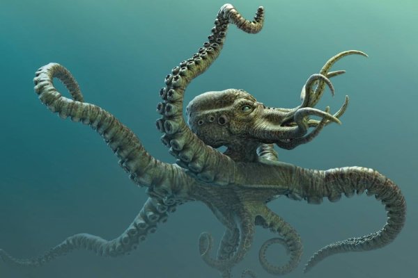 Kraken это современный маркетплейс