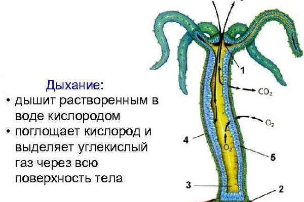 Кракен рабочая ссылка на сайт