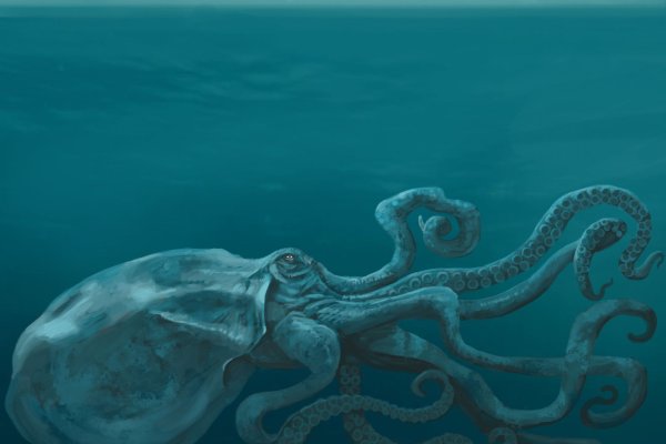 Kraken darkmarket