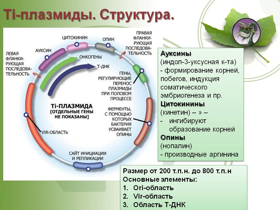 Зайти на кракен без тора