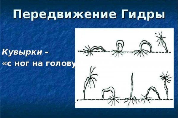 Кракен не работает тор