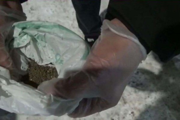 Кракен маркет даркнет только через
