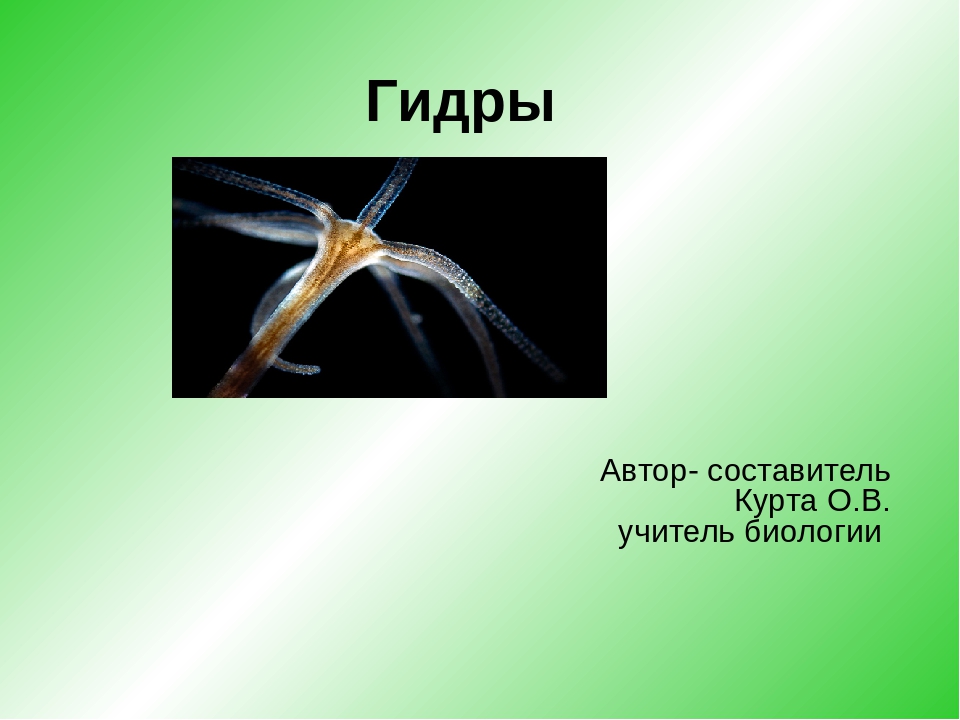 Кракен сайт пользователь не найден