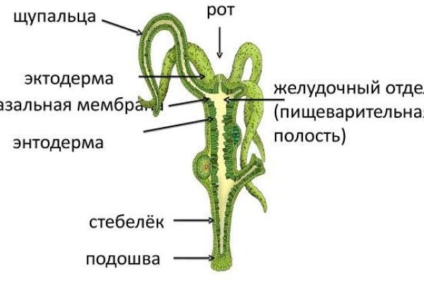 Ссылка на кракен тг